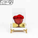 گل رز جاودان نارسیس گیفت مدل 105