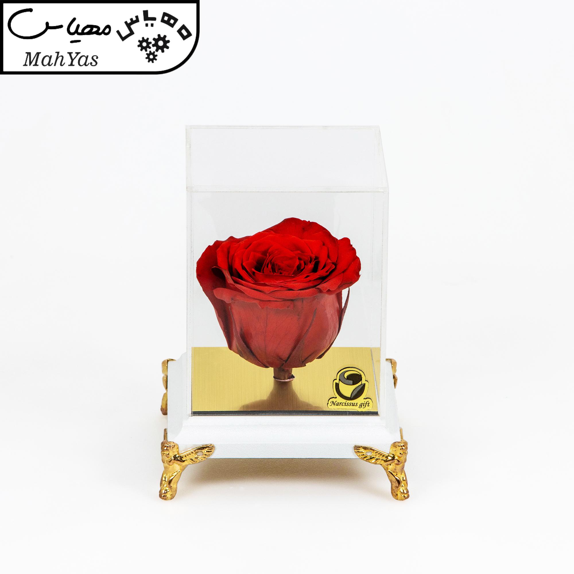 گل رز جاودان نارسیس گیفت مدل 105