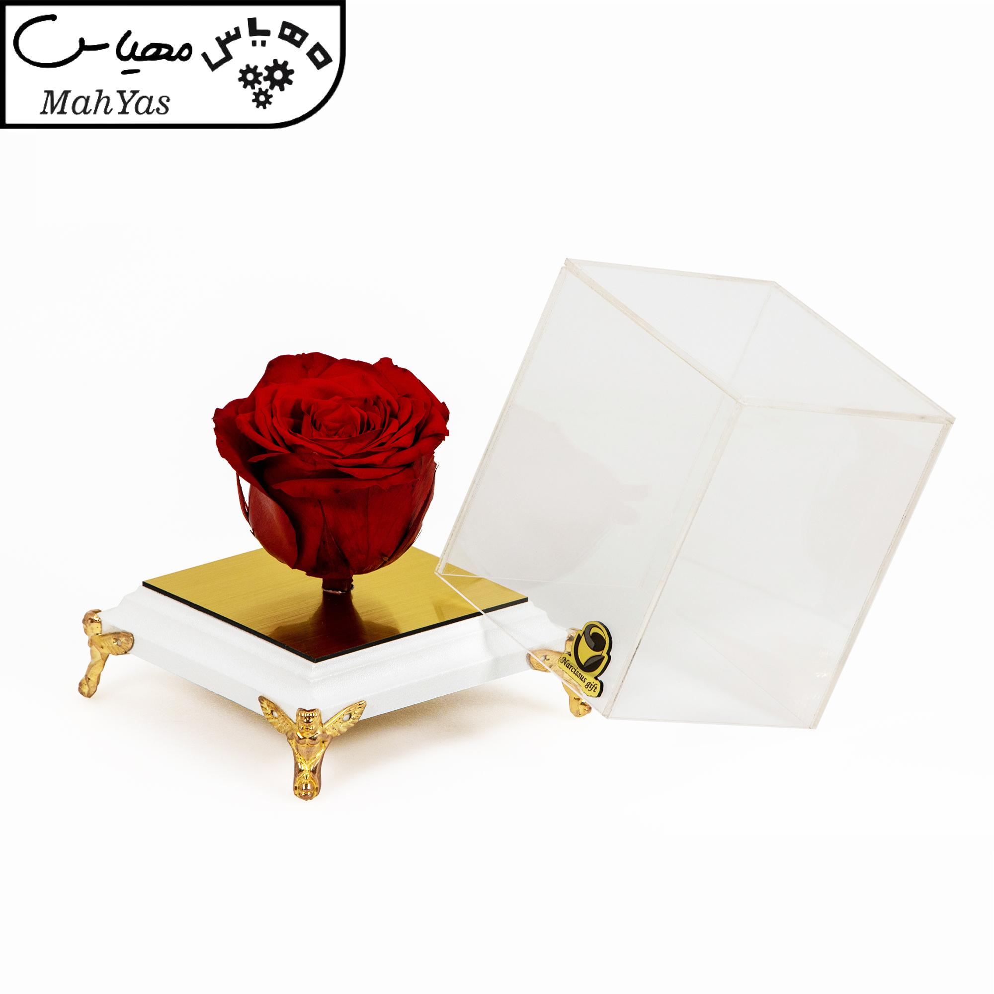 گل رز جاودان نارسیس گیفت مدل 105