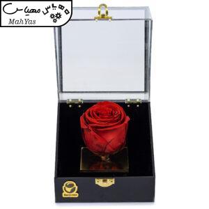 گل رز جاودان نارسی مدل لوتوس کد 405