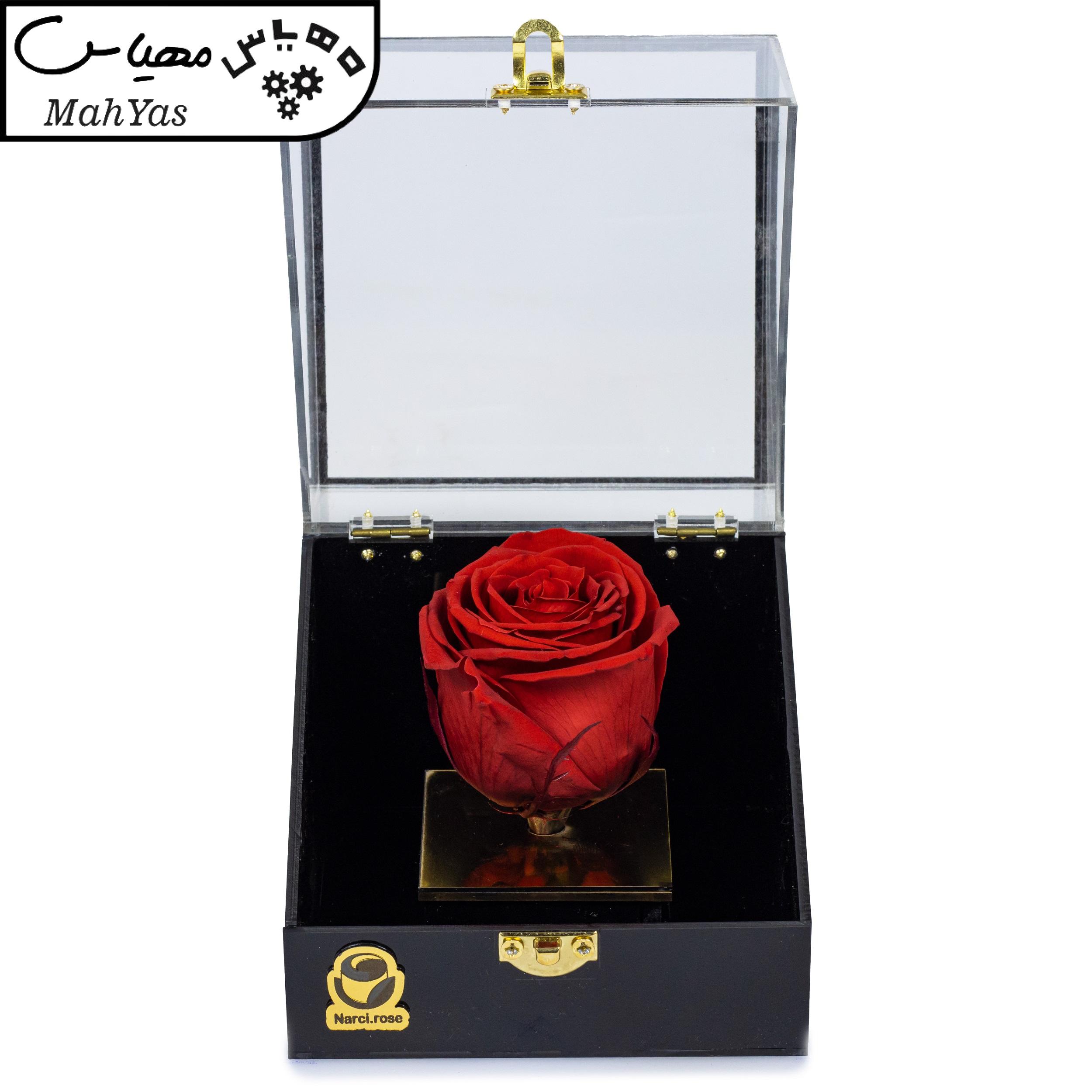 گل رز جاودان نارسی مدل لوتوس کد 405