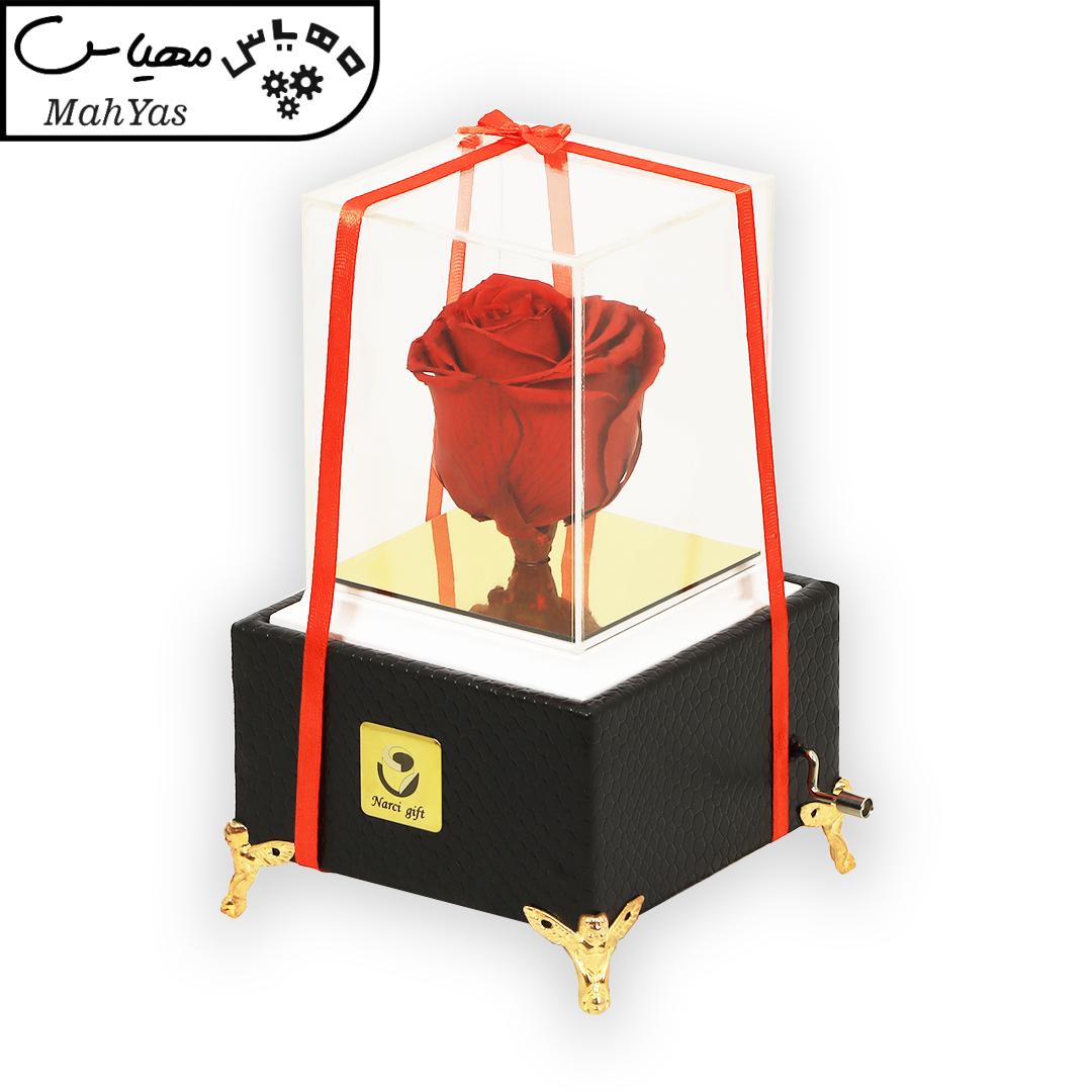 گل رز جاودان نارسیس گیفت مدل ملودی های عاشقانه205