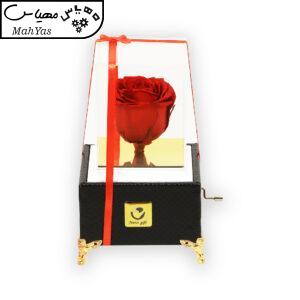 گل رز جاودان نارسیس گیفت مدل ملودی های عاشقانه205